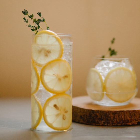 coach website template