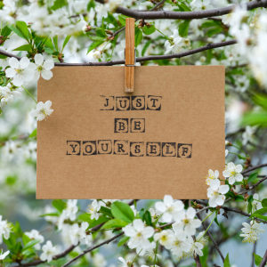 template website coach